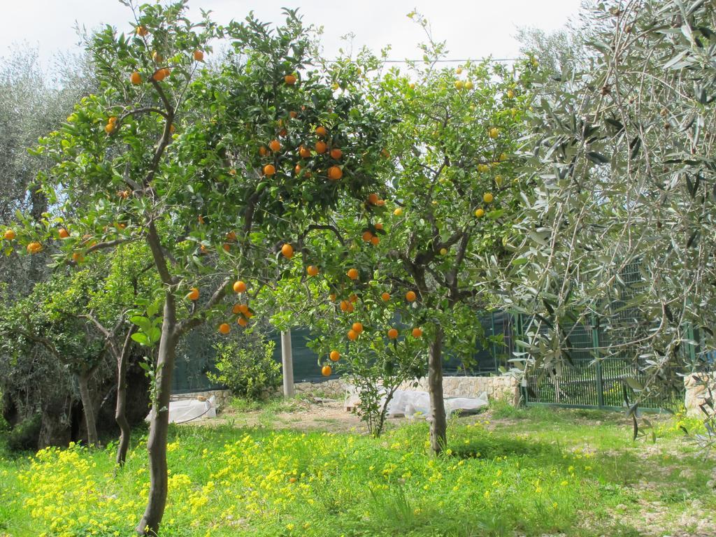 Tenuta Santa Maria Mattinata Kamer foto