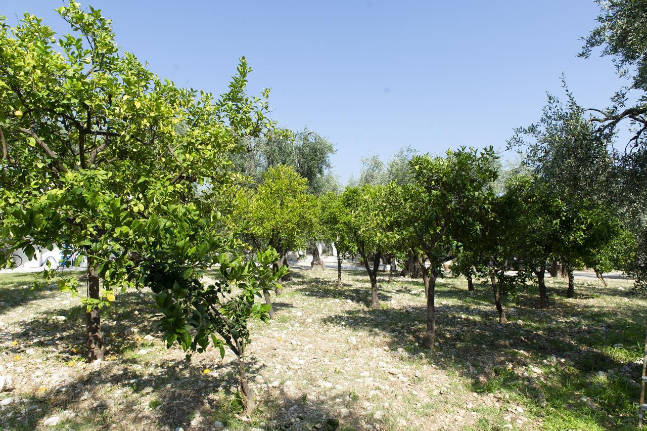 Tenuta Santa Maria Mattinata Buitenkant foto